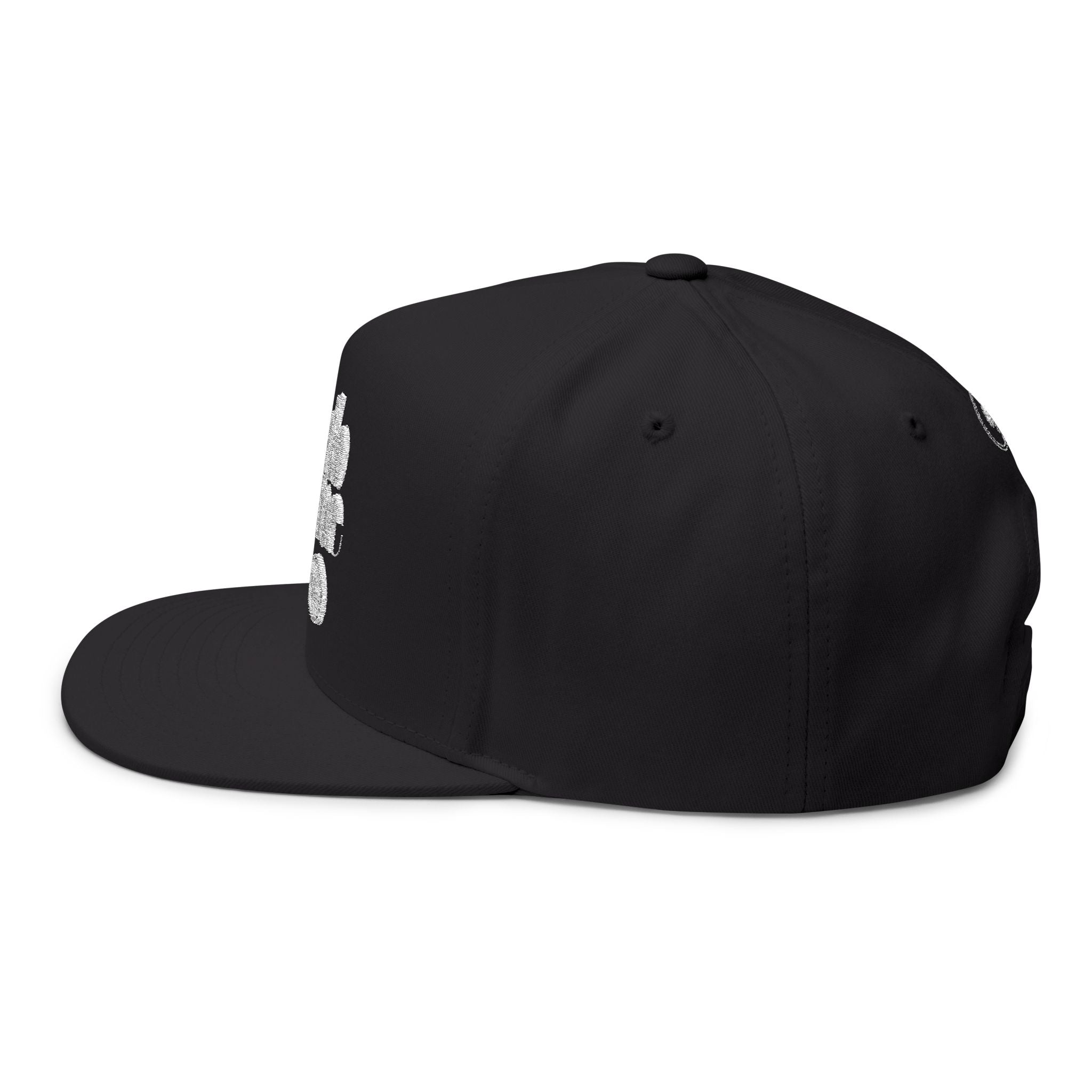 Copy of GreyNoise Cap