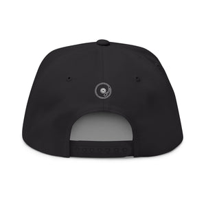 Copy of GreyNoise Cap