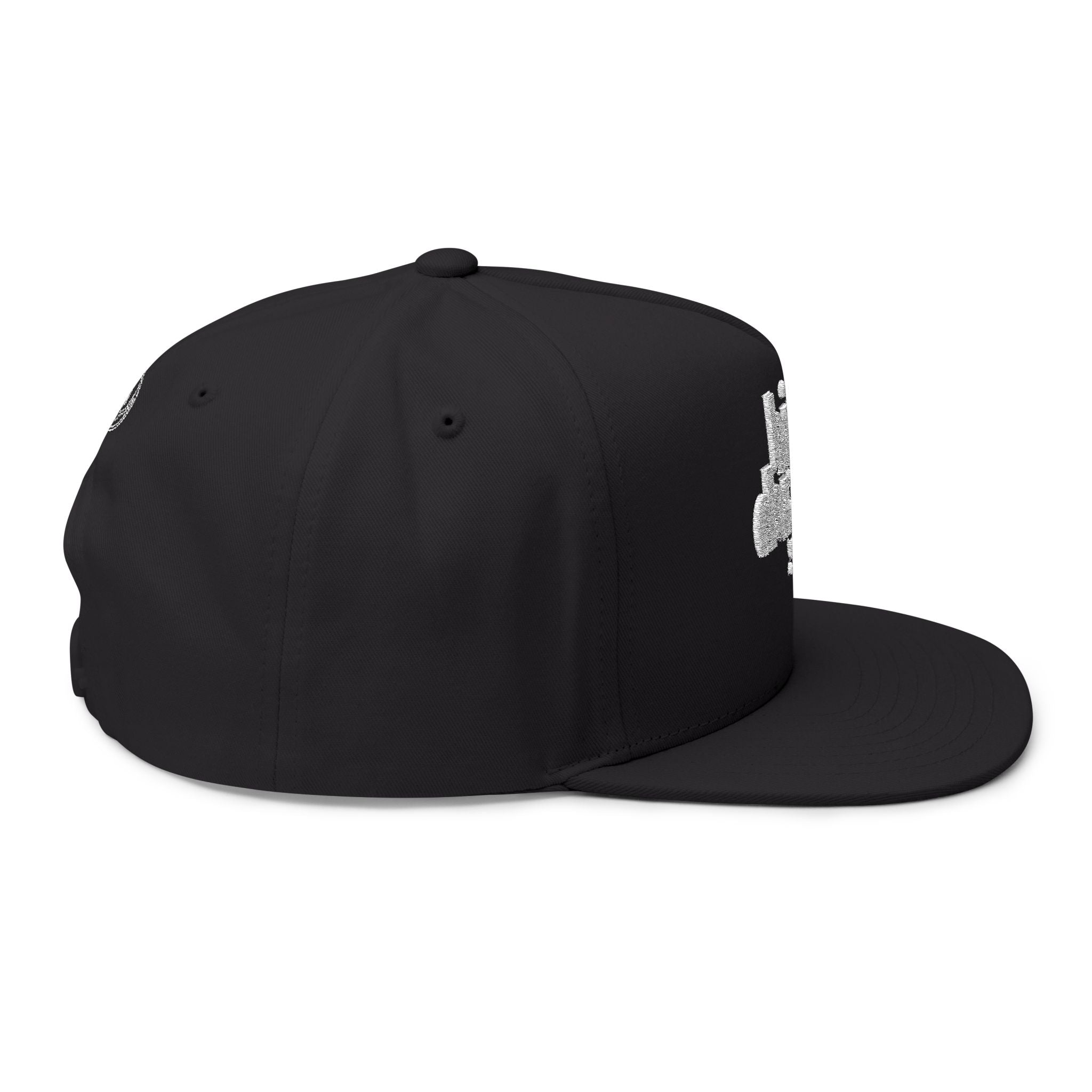 Copy of GreyNoise Cap